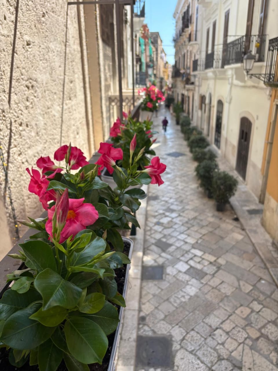 L'Officina Bed and Breakfast in Bari