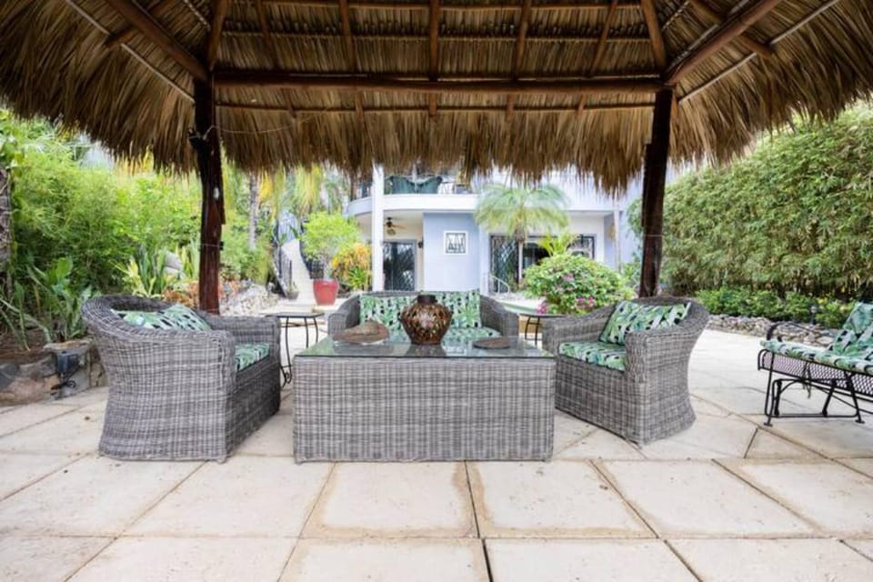 Patio, Garden, Balcony/Terrace
