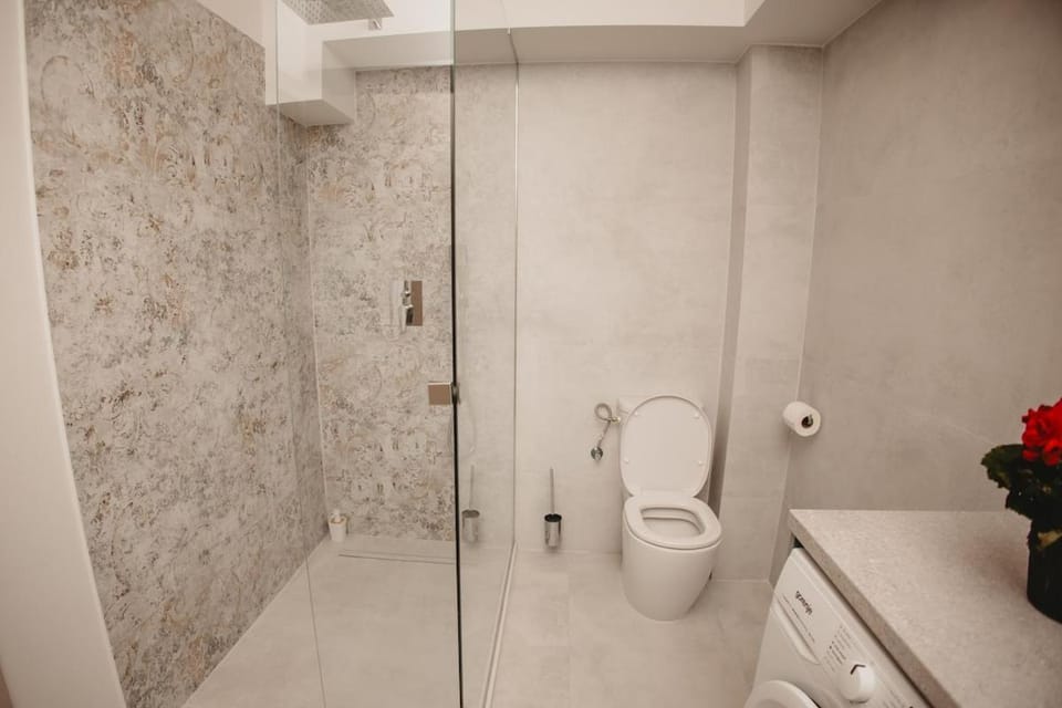 White House Iris Cluj Napoca - Apartament 4 Apartment in Cluj-Napoca