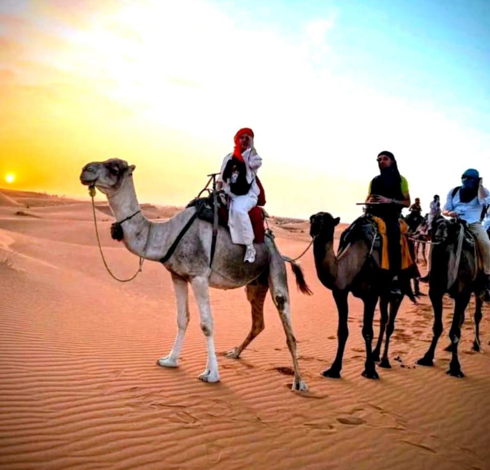 Day, People, Natural landscape, Horse-riding, Animals, group of guests