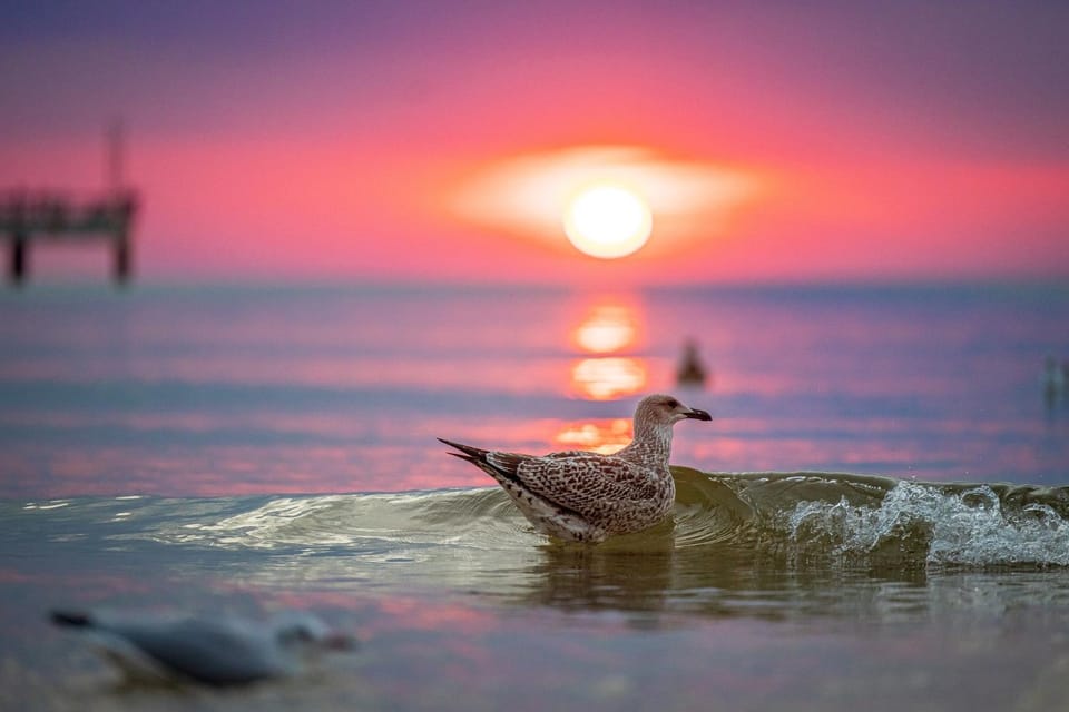 Natural landscape, Beach, Sea view, Sunset