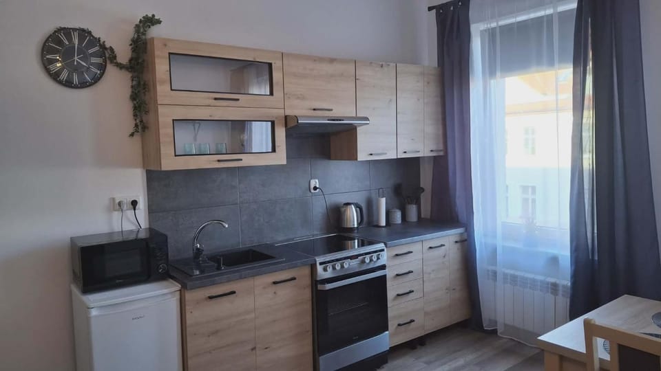 Apartament Elizabeth Apartment in Poland