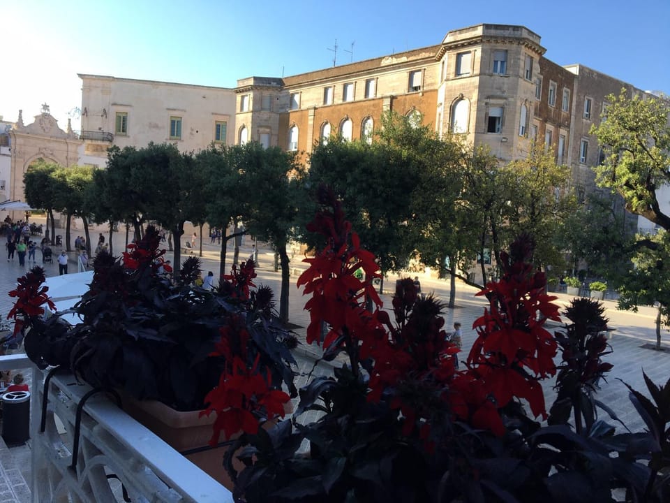 On site, City view, Landmark view, Street view