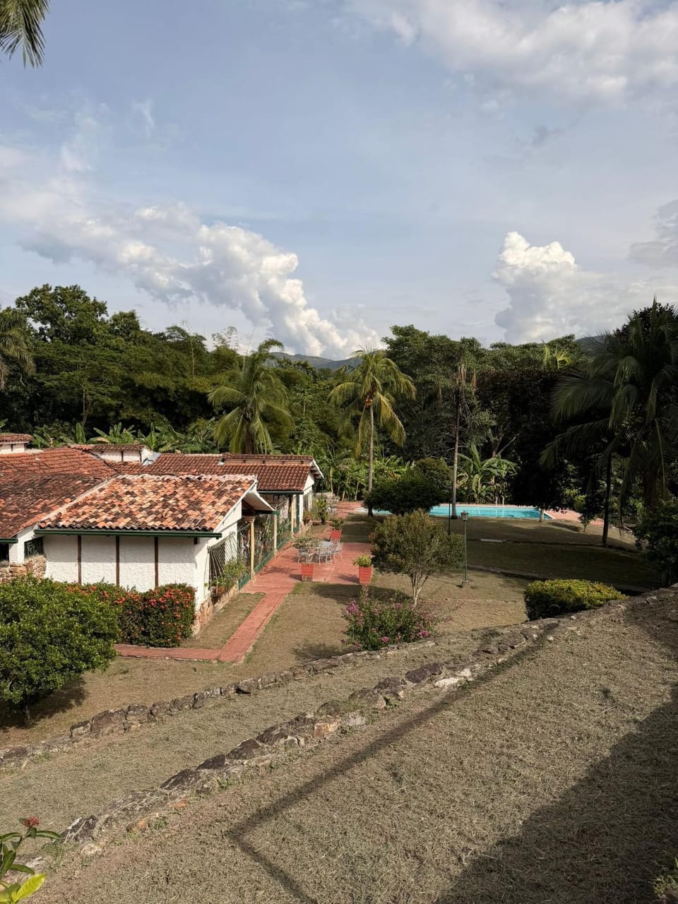 Garden view