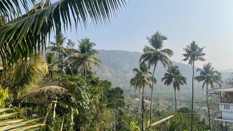 View (from property/room)