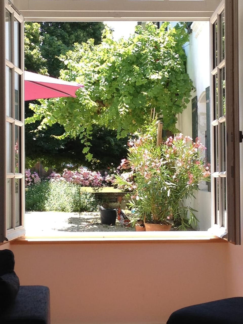 Garden view