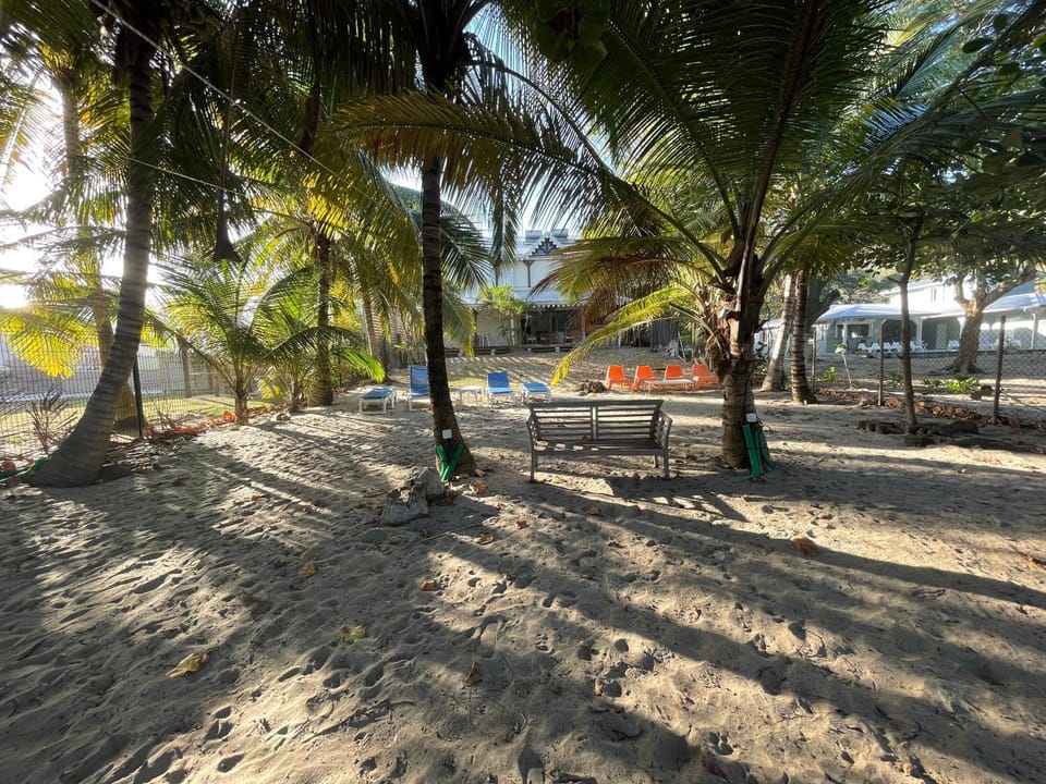Day, Garden, Beach, Garden view