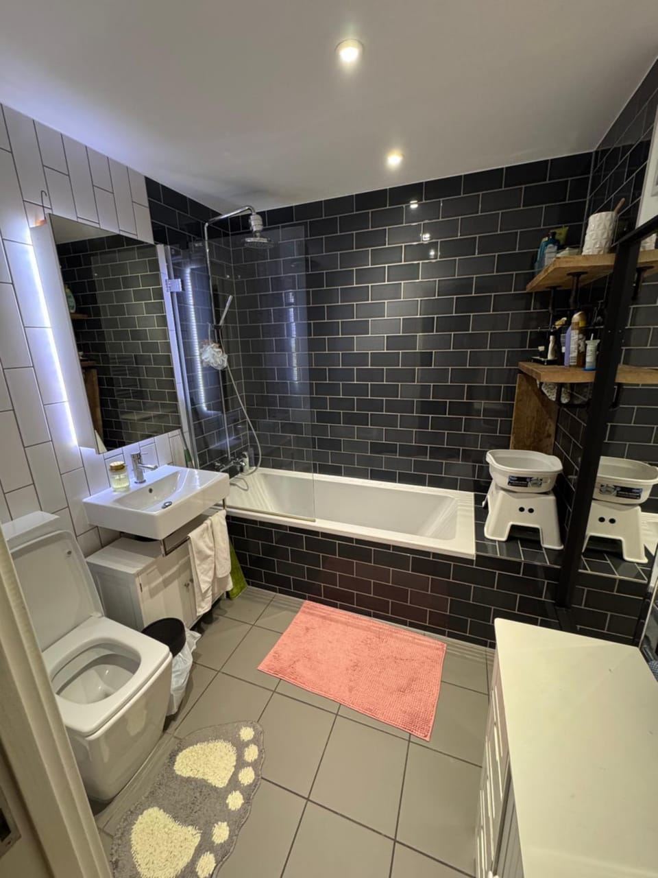Royal Docks Vacation rental in London
