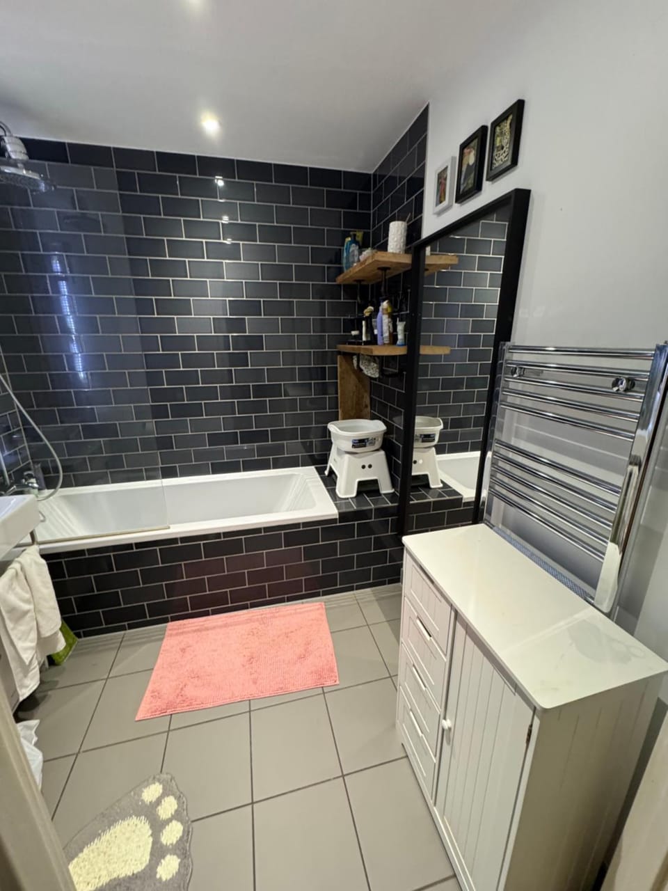 Royal Docks Vacation rental in London