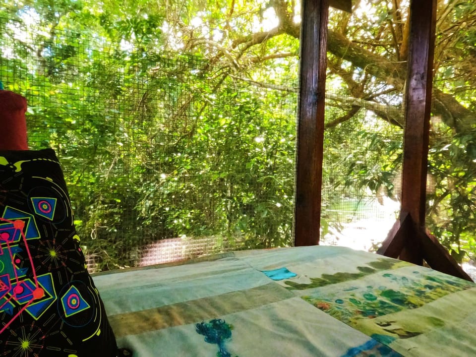 A to Z EcoFarm Nature lodge in Cayo District