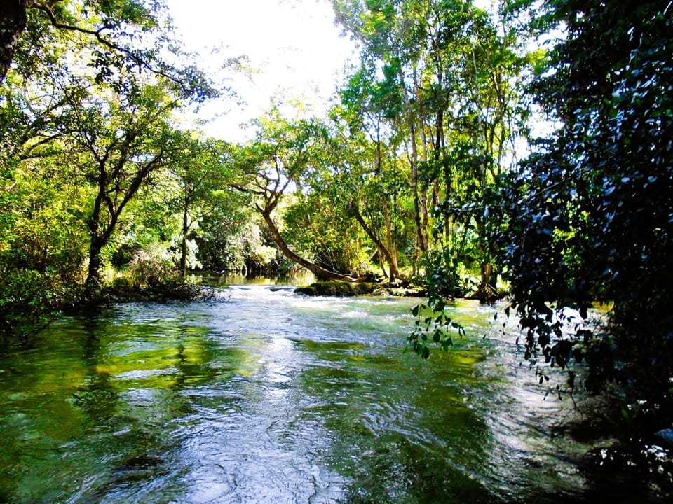 A to Z EcoFarm Nature lodge in Cayo District