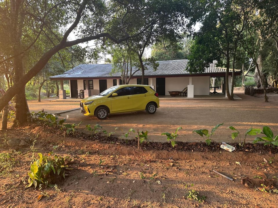Property building, Natural landscape, Garden, Garden view, Location, Parking