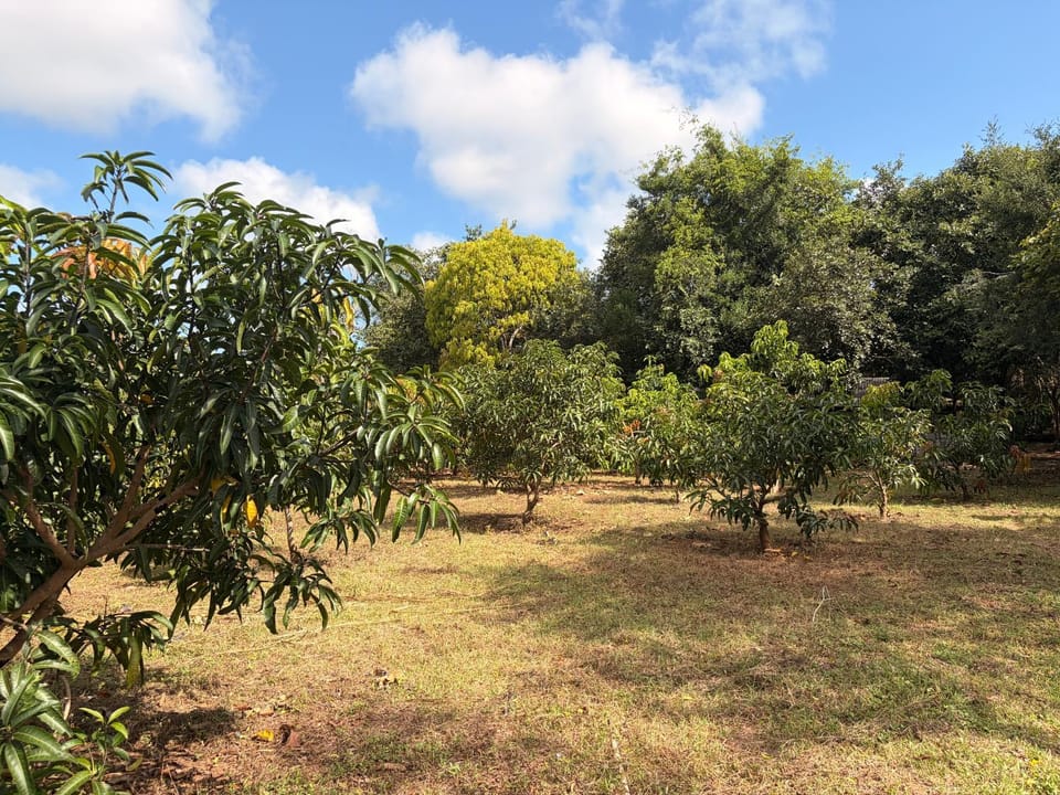 Emerald Hotel Sigiriya Bed and Breakfast in Dambulla