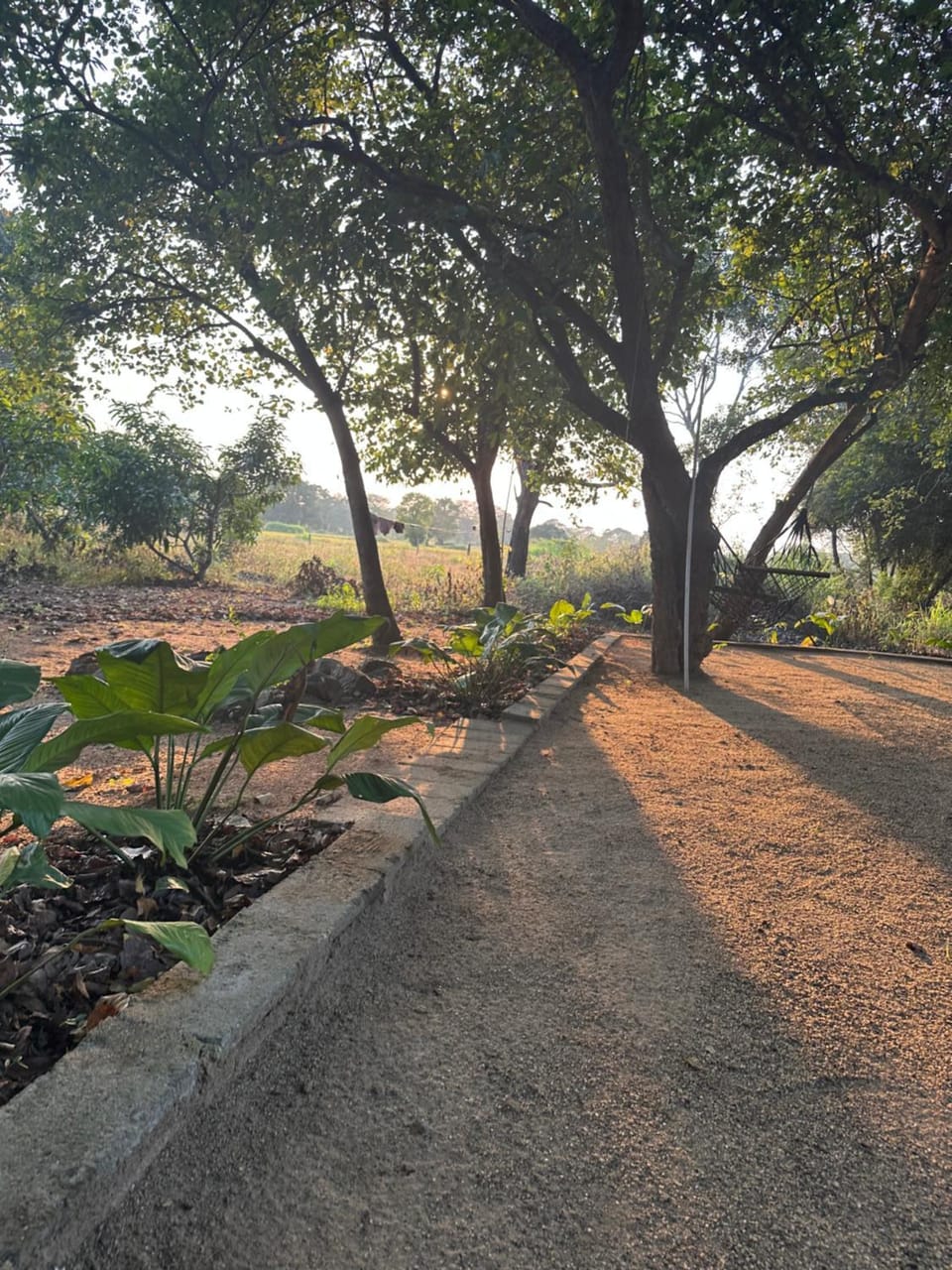 Natural landscape, Garden, Garden view