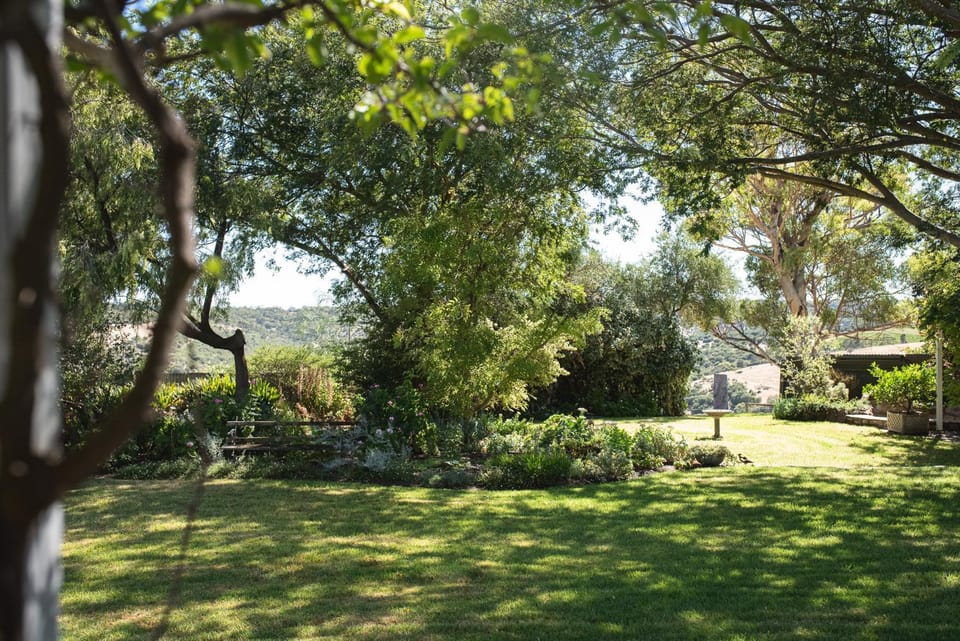 Garden view