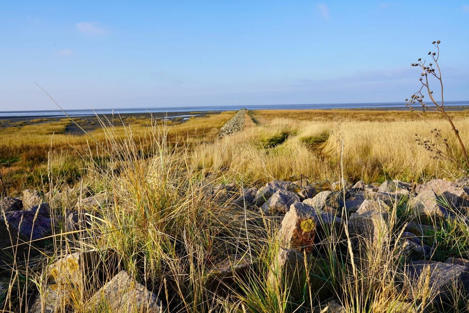 Natural landscape, Sea view