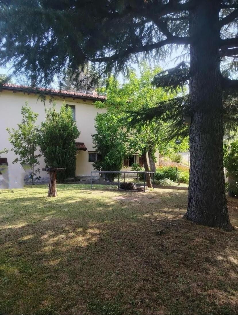 Property building, Facade/entrance, Garden, Dining area