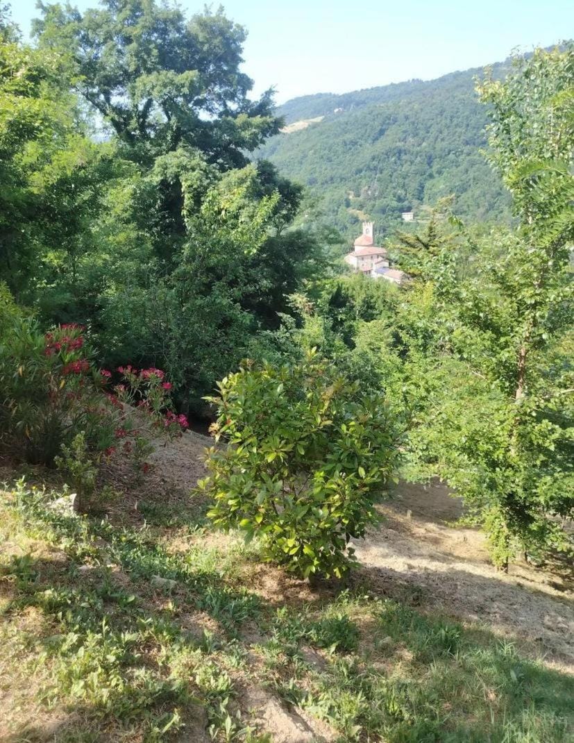 Garden, Landmark view, Mountain view