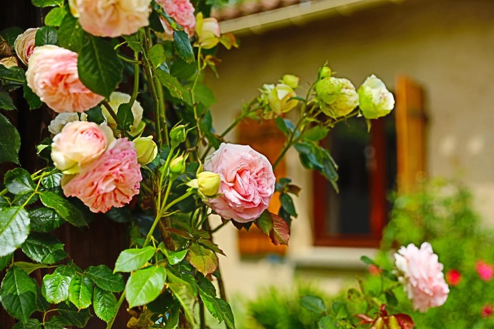 A Soulas House in Occitanie