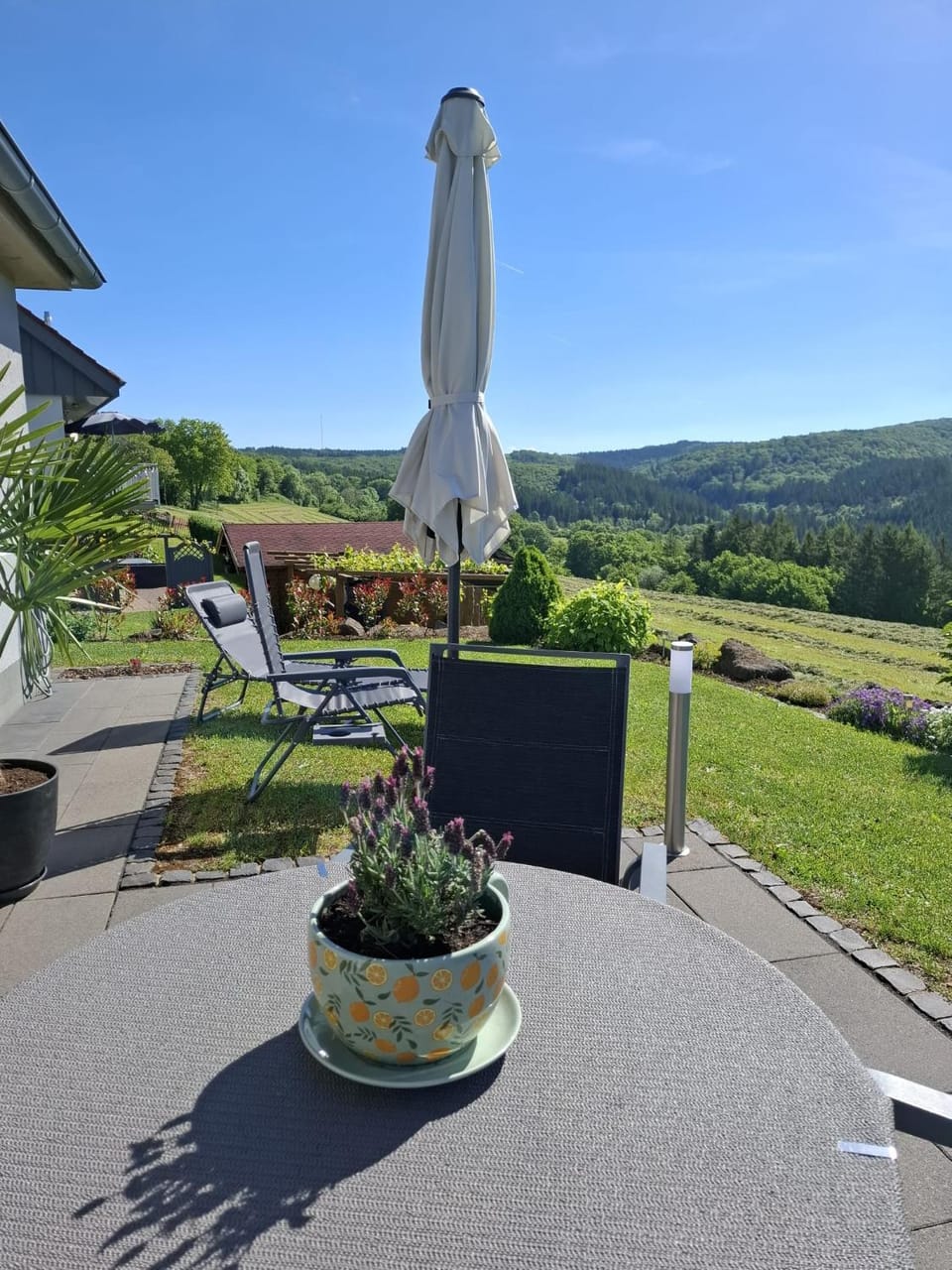 Garden view