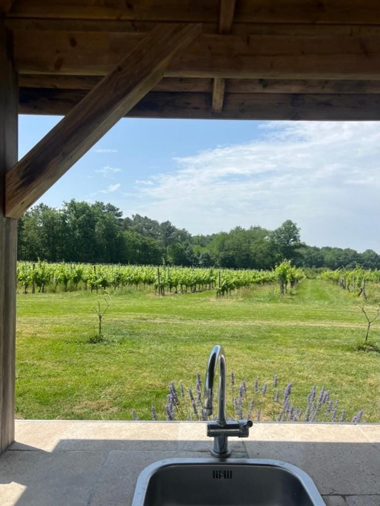 Family cottage in Bordeaux vineyards and forest House in Nouvelle-Aquitaine