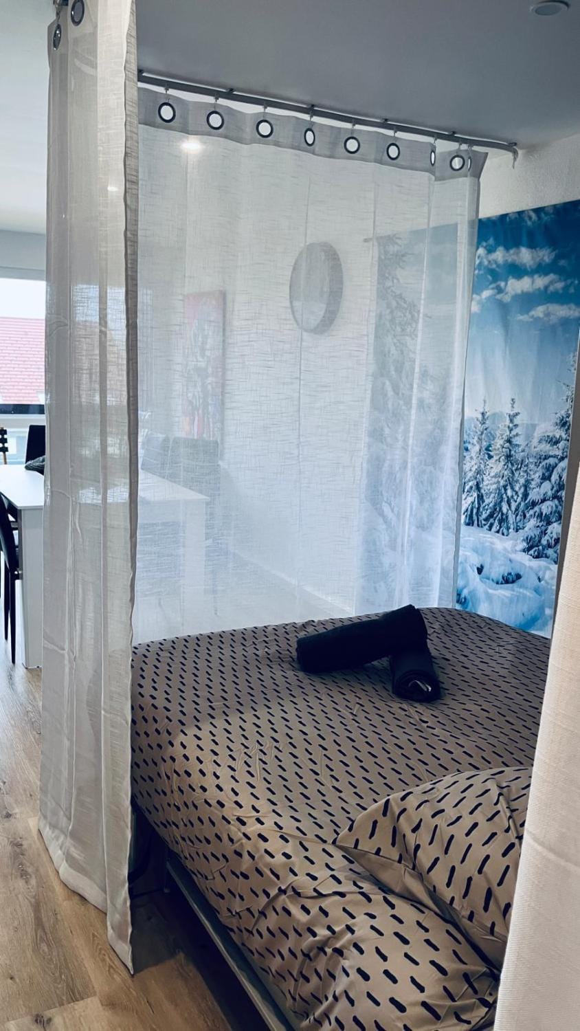 Le Cocon étoilé Apartment in Métabief