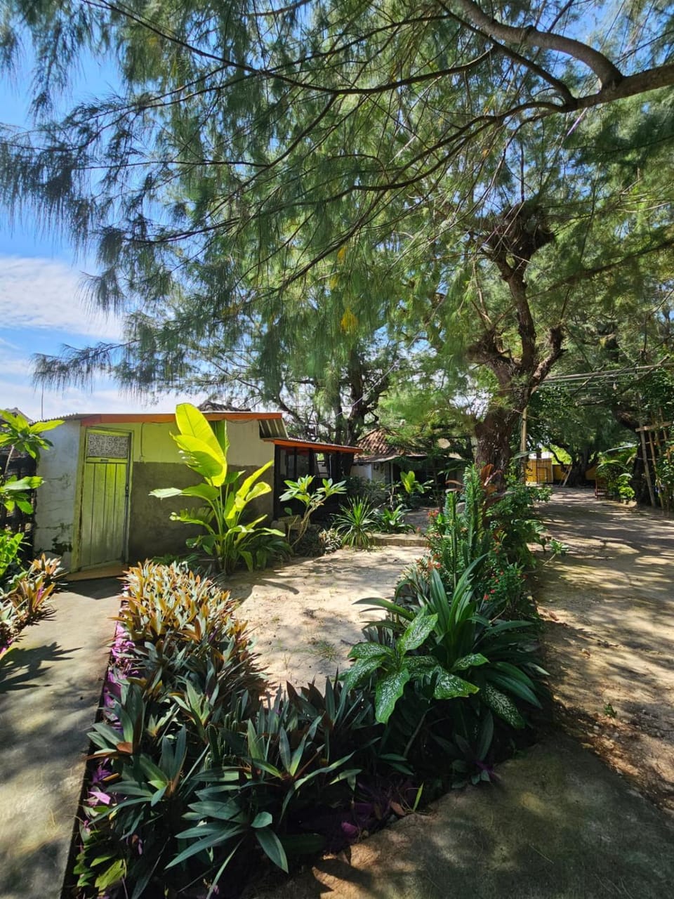 Cemara Paradise Homestay Bed and Breakfast in West Nusa Tenggara, Indonesia