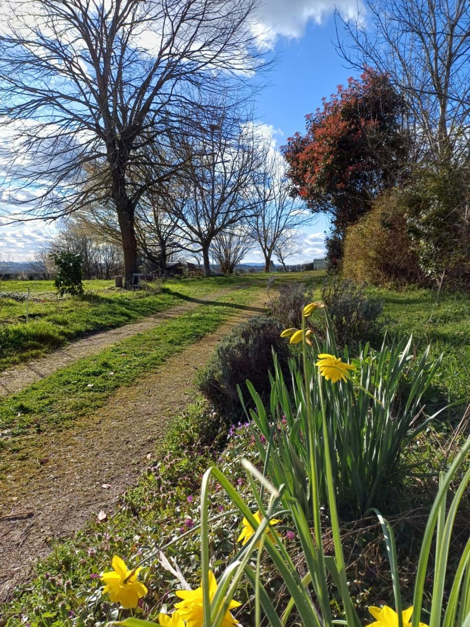 Natural landscape, Garden view