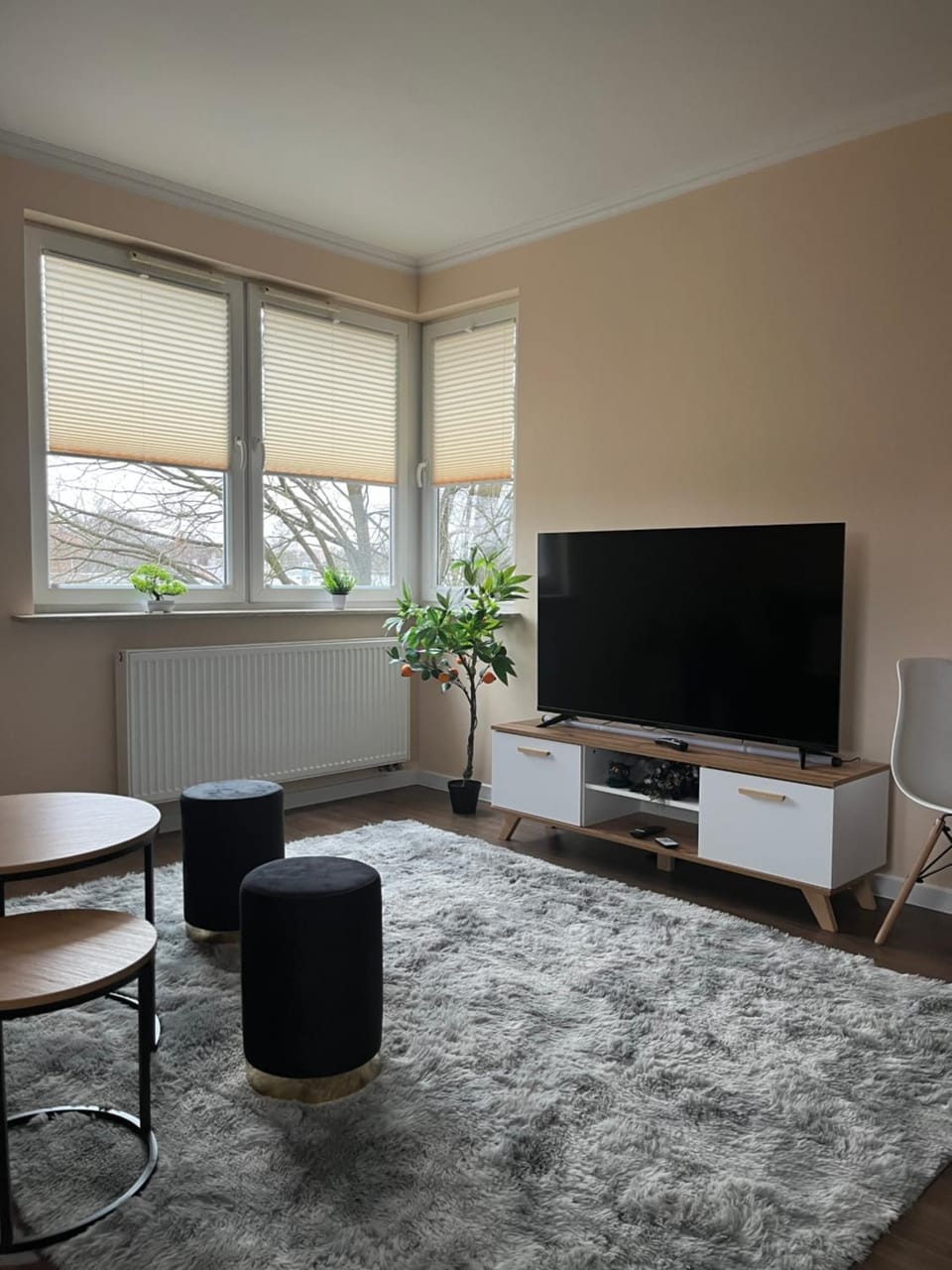 Communal lounge/ TV room, TV and multimedia