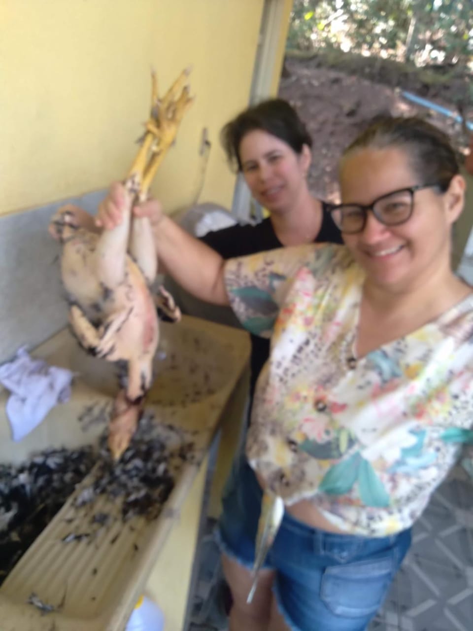 Rancho San Diego House in Goiania