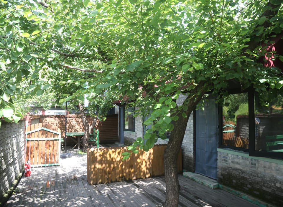 Day, Garden, Garden view