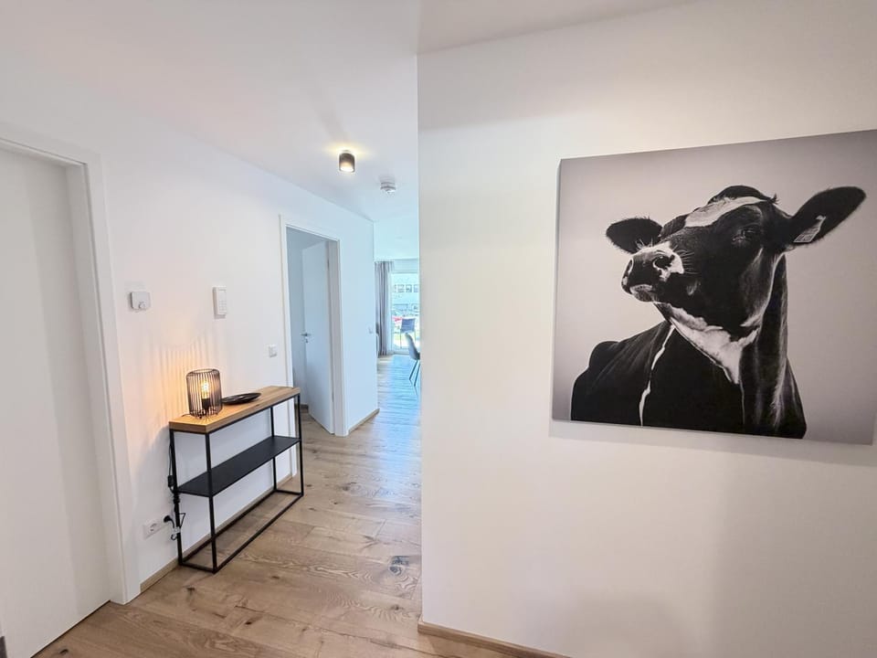 Photo of the whole room, Decorative detail, pet friendly