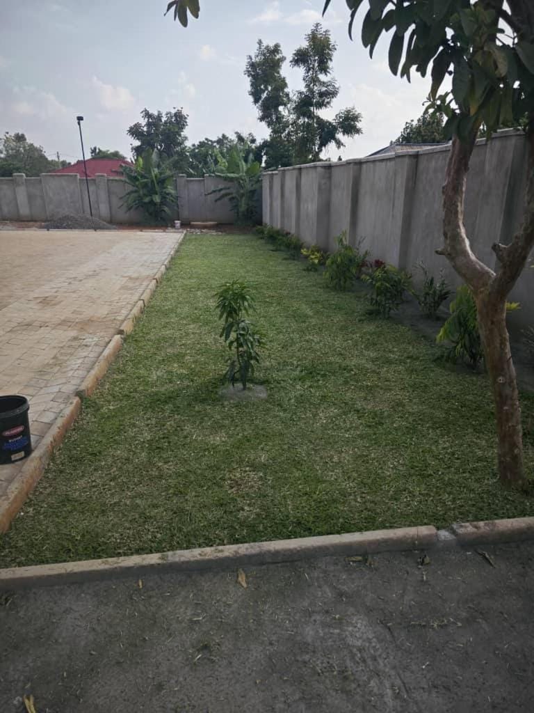 Natural landscape, Garden, Garden view