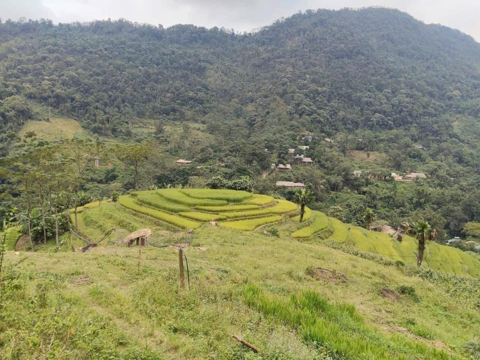 Xuân Lan Homestay Country House in Vietnam