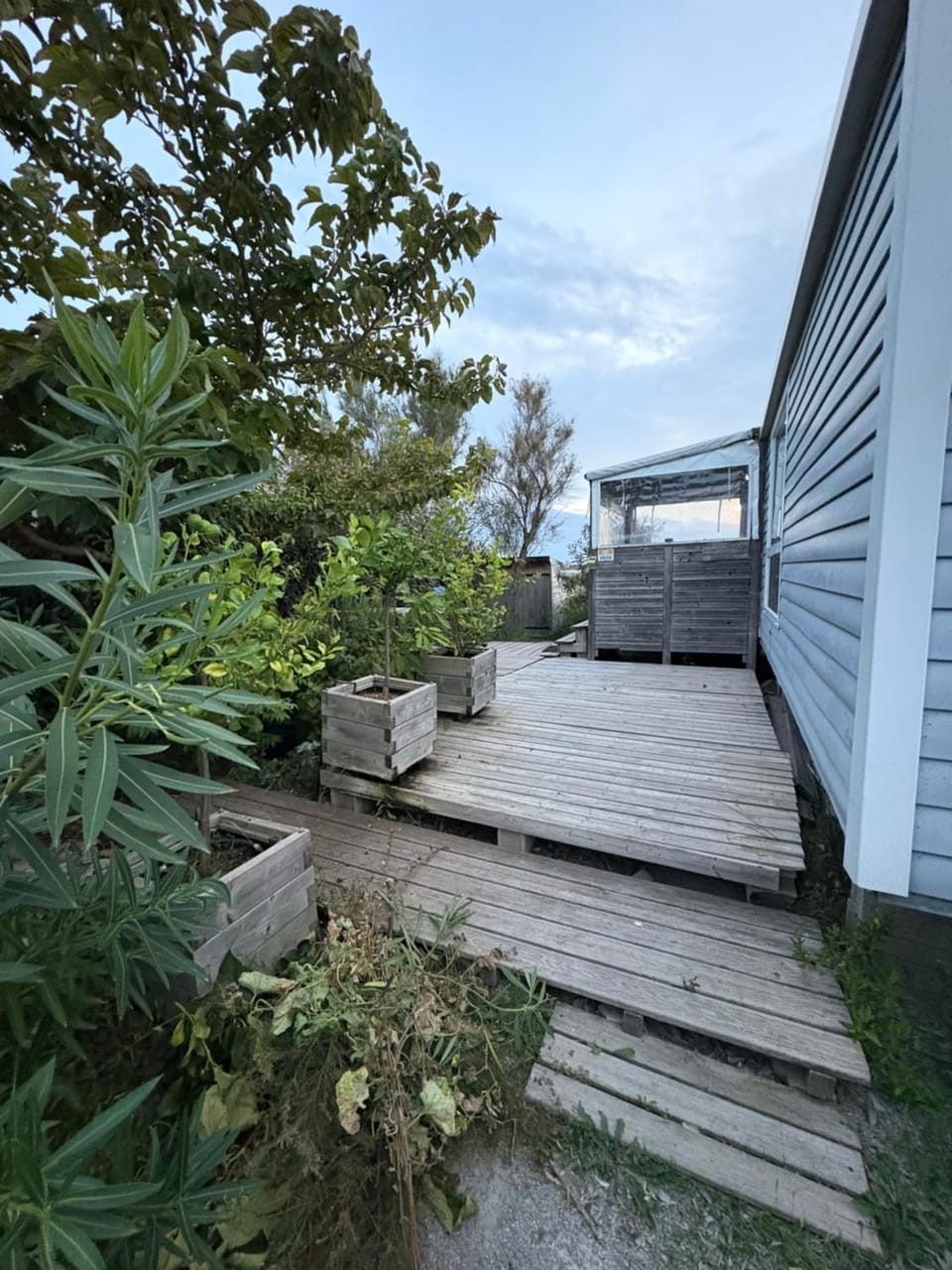 Garden view