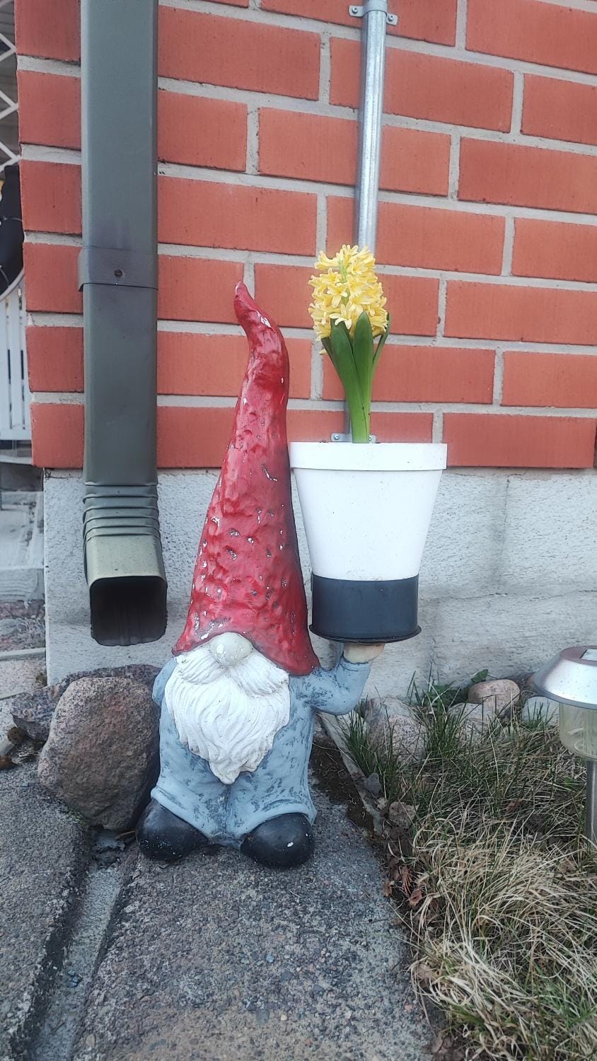Spring