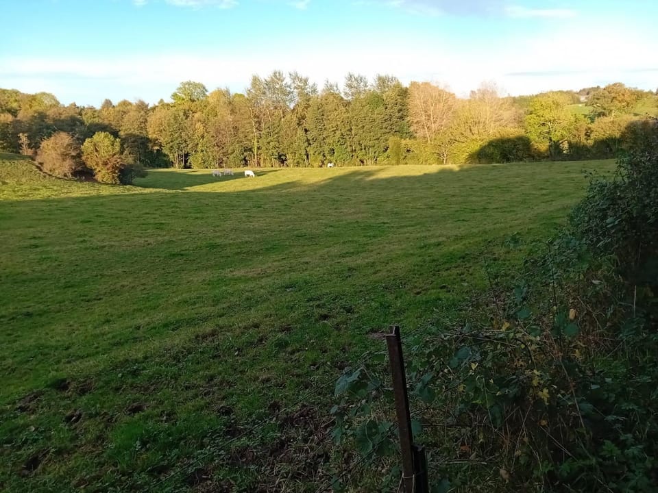 Natural landscape