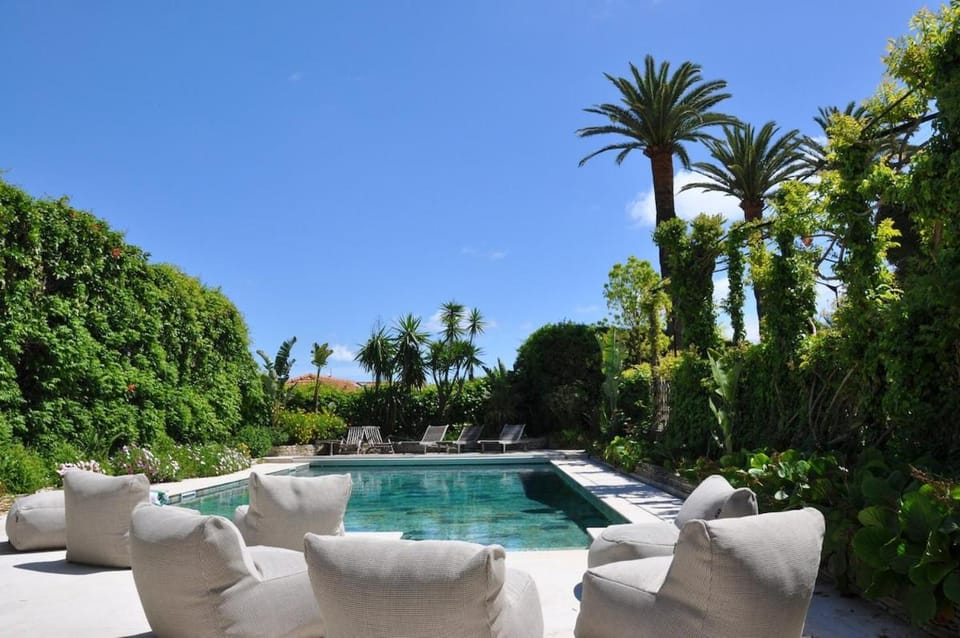 Patio, Garden, Swimming pool, sunbed