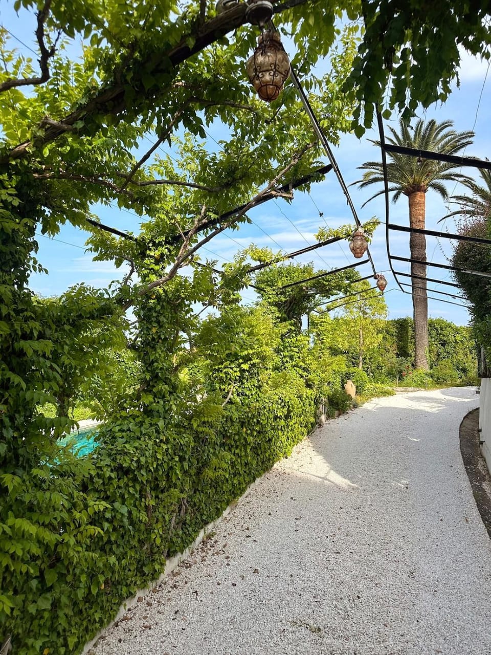 Natural landscape, Garden