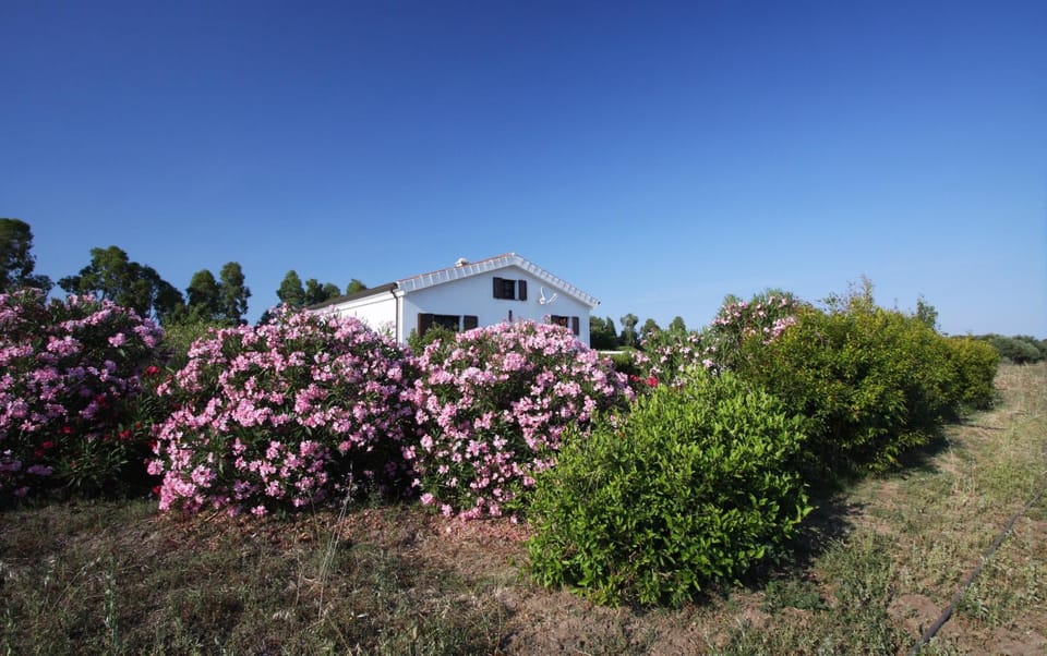 Property building, Garden