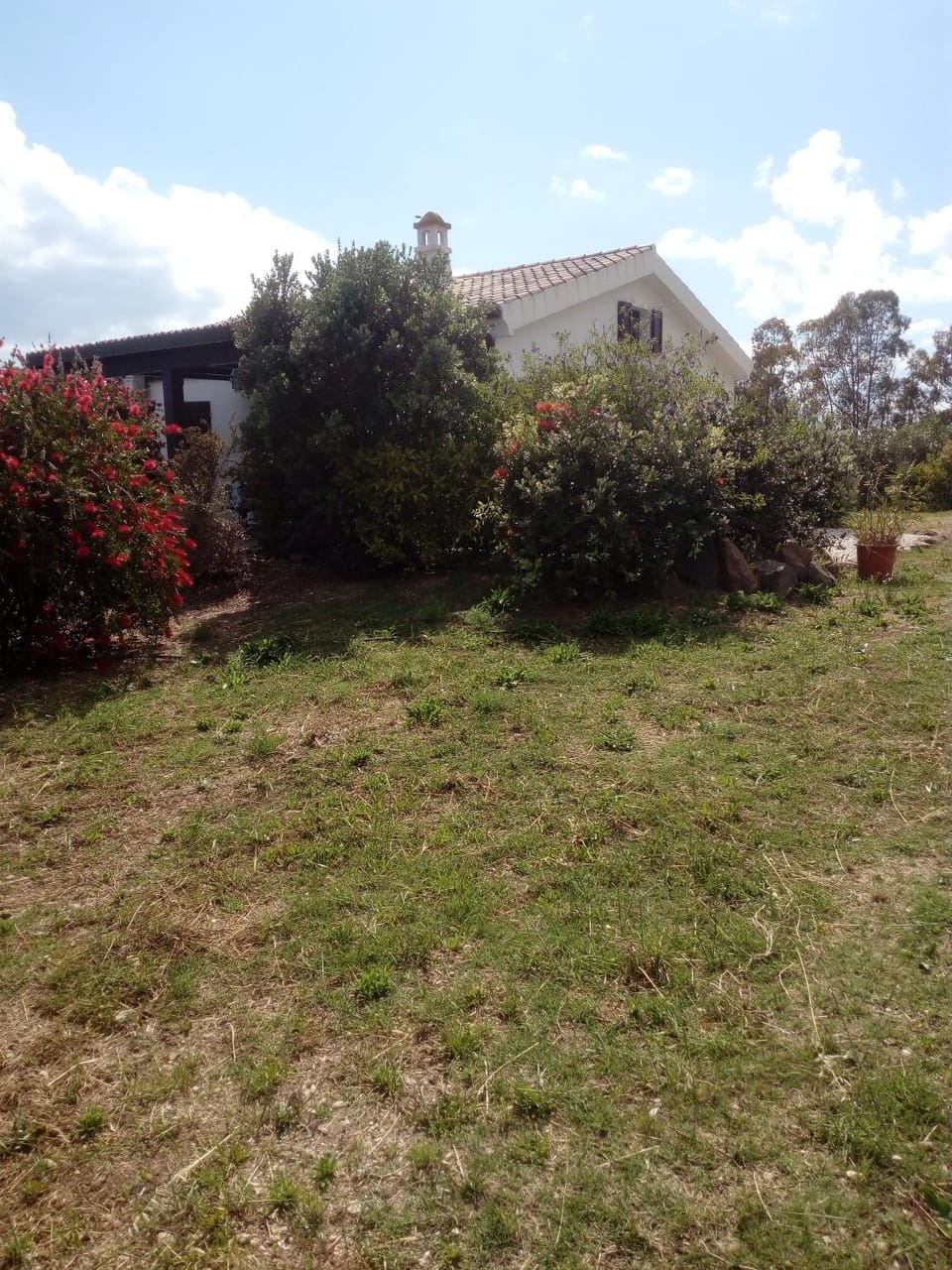 Property building, Garden