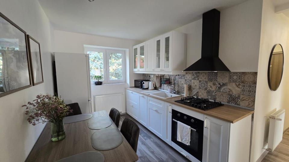 Kitchen or kitchenette, dishwasher, stove