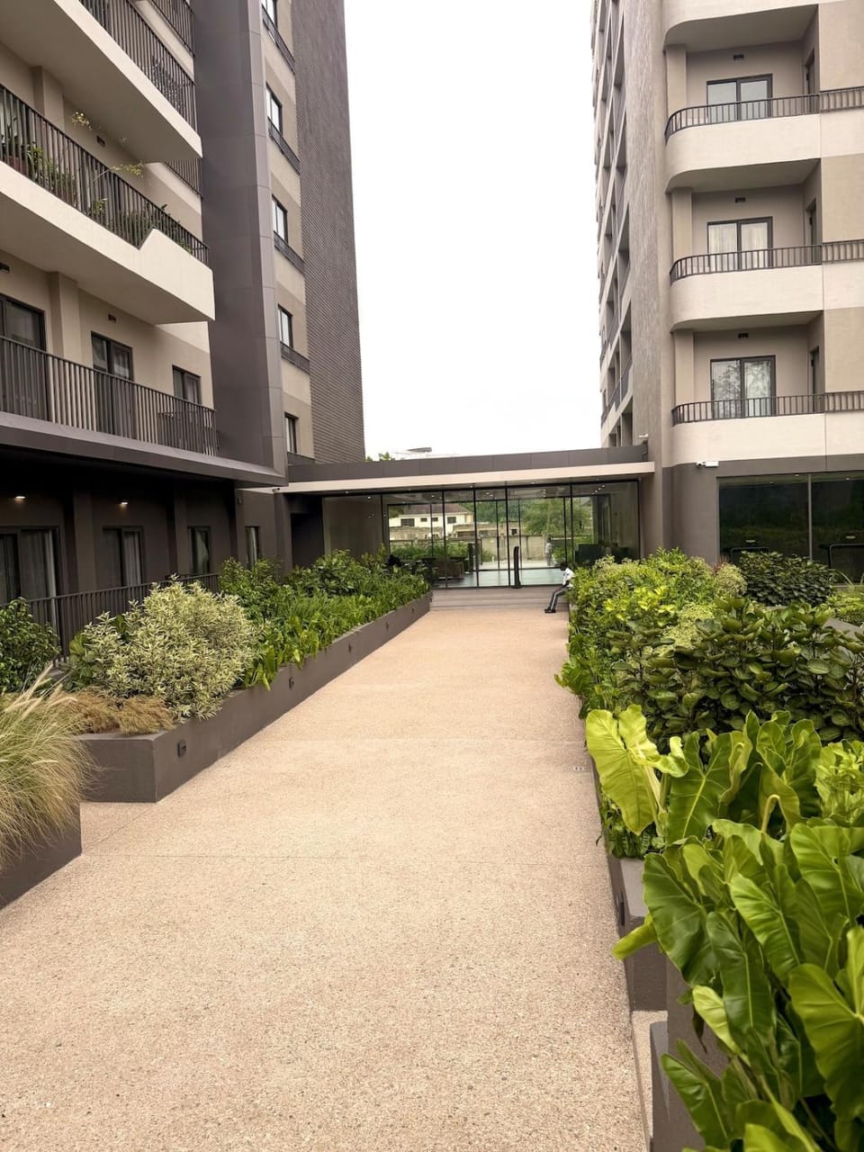 Garden view