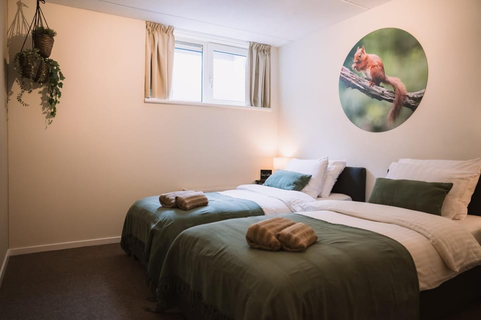 Bed, Photo of the whole room, Bedroom, children, older children, towels