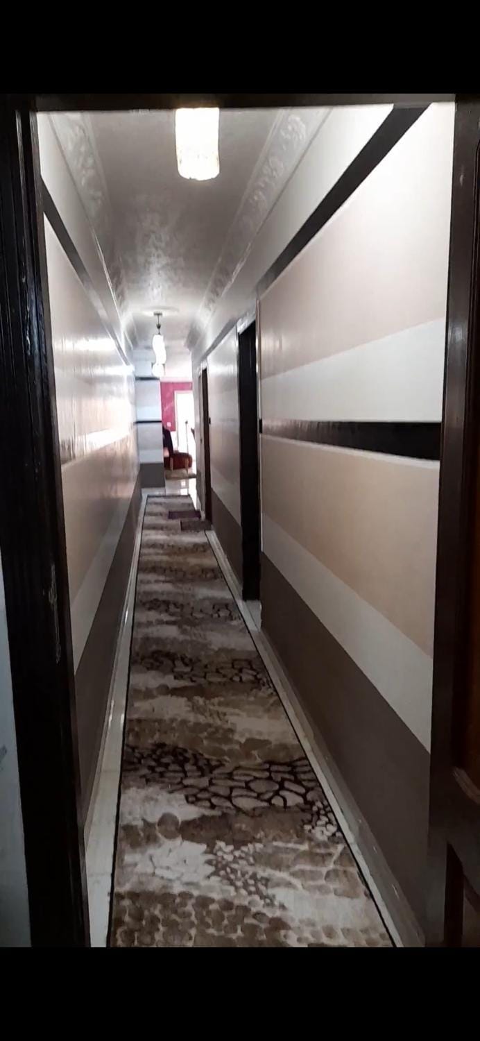 شقه بالاسكندريه Apartment in Alexandria