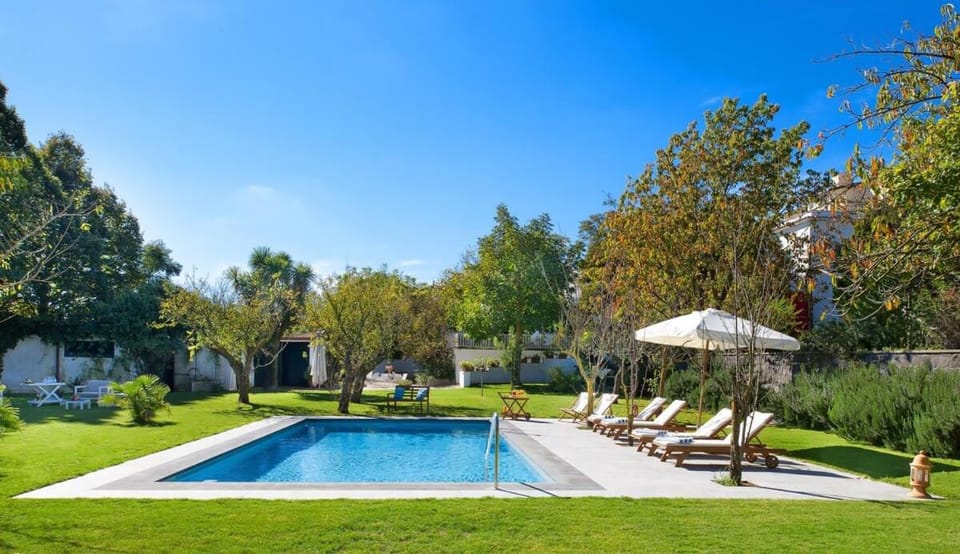 Spring, Day, Garden, Garden view, Pool view, Swimming pool, sunbed