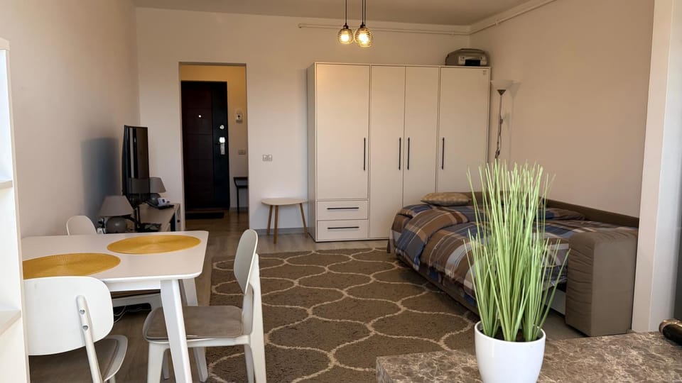 Fantastic Cozy Studio Apartment in Brasov