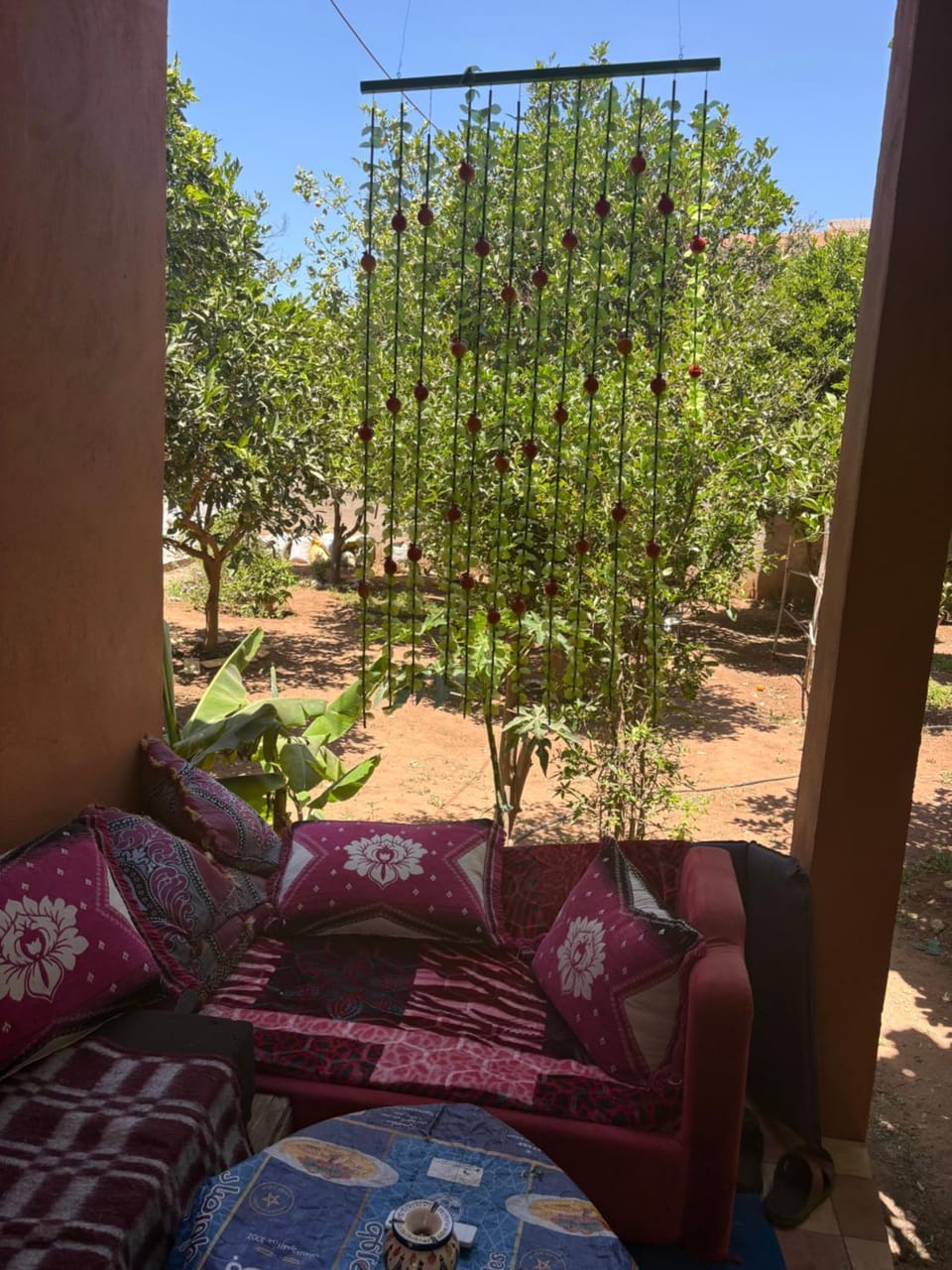Garden view