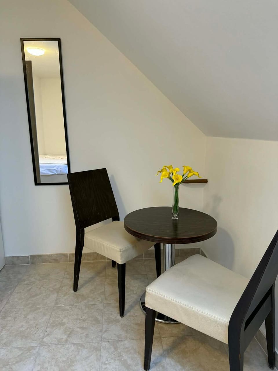 Ubytovna u Maiky Apartment in Czechia