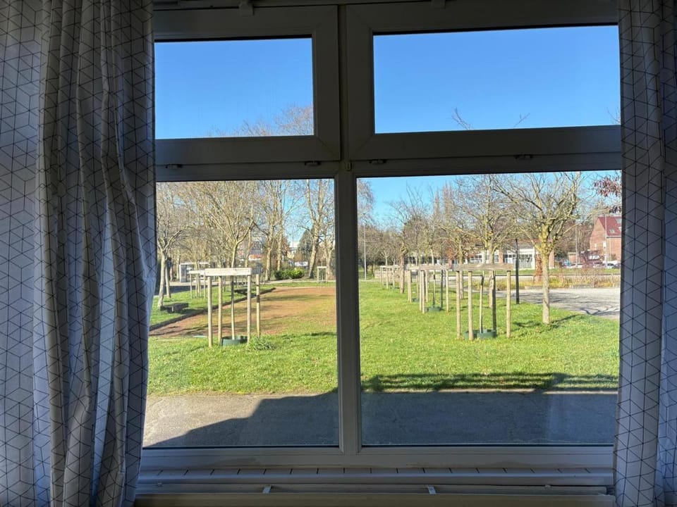 Garden view